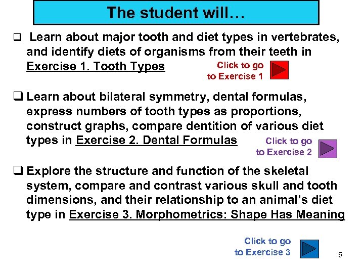 The student will… q Learn about major tooth and diet types in vertebrates, and