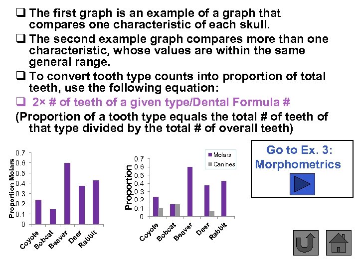 bi t Go to Ex. 3: Morphometrics R ab ee r D ve r
