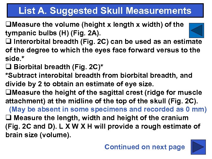 List A. Suggested Skull Measurements q. Measure the volume (height x length x width)