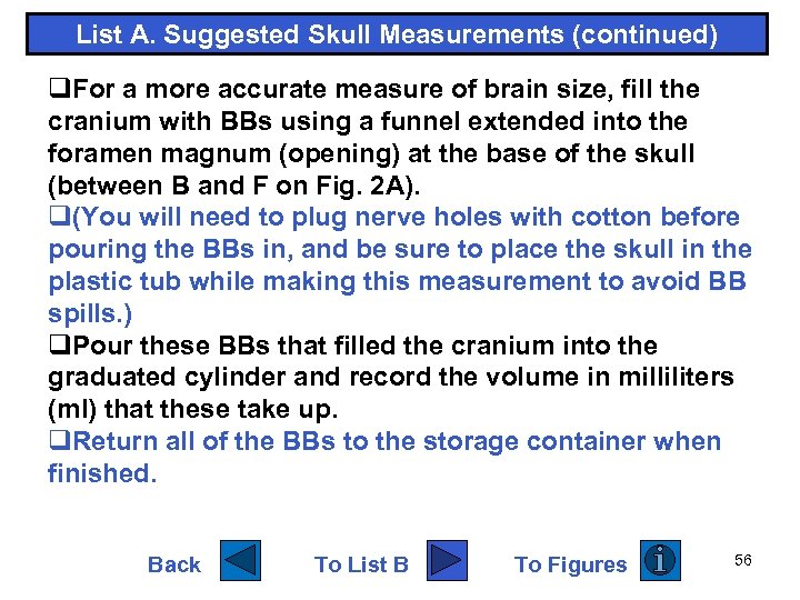 List A. Suggested Skull Measurements (continued) q. For a more accurate measure of brain