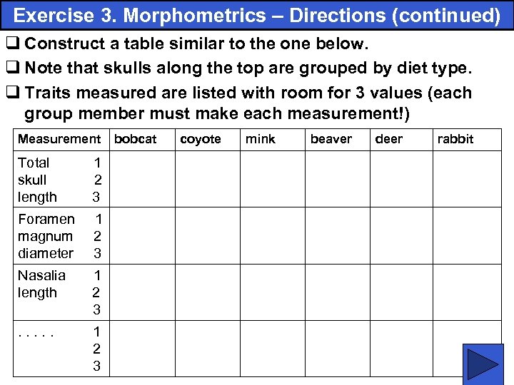 Exercise 3. Morphometrics – Directions (continued) q Construct a table similar to the one