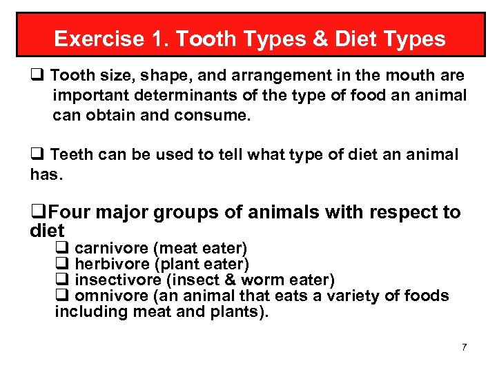 Exercise 1. Tooth Types & Diet Types q Tooth size, shape, and arrangement in
