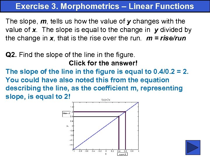Exercise 3. Morphometrics – Linear Functions The slope, m, tells us how the value
