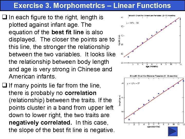 Exercise 3. Morphometrics – Linear Functions q In each figure to the right, length