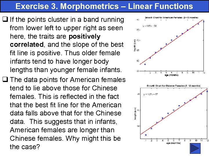 Exercise 3. Morphometrics – Linear Functions q If the points cluster in a band