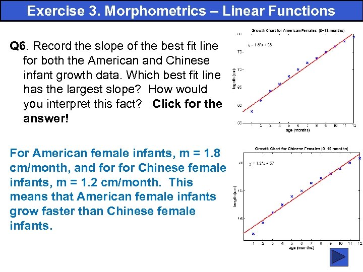 Exercise 3. Morphometrics – Linear Functions Q 6. Record the slope of the best