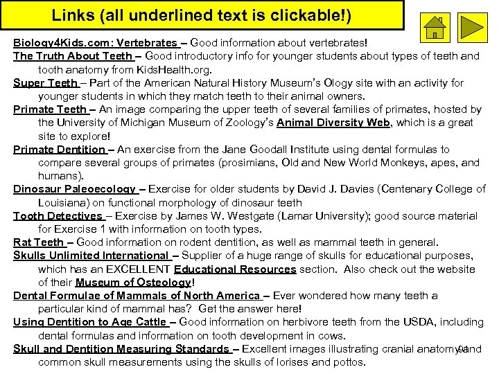 Links (all underlined text is clickable!) Biology 4 Kids. com: Vertebrates – Good information