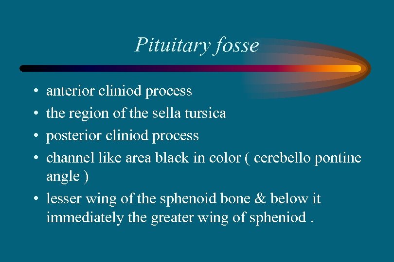 Pituitary fosse • • anterior cliniod process the region of the sella tursica posterior