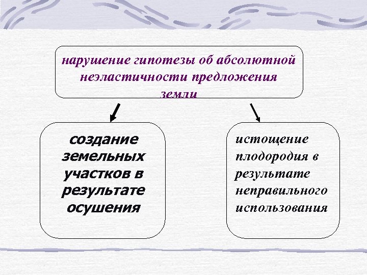  нарушение гипотезы об абсолютной неэластичности предложения земли создание земельных участков в результате осушения