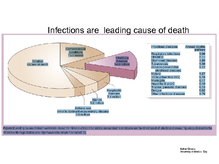 Infections are leading cause of death Esther Orozco University of Mexico City 