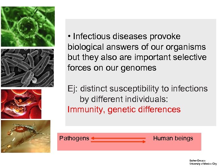  • Infectious diseases provoke biological answers of our organisms but they also are