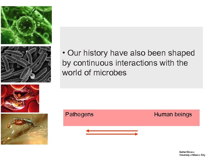  • Our history have also been shaped by continuous interactions with the world