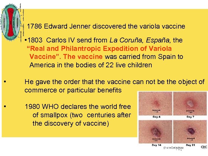  • 1786 Edward Jenner discovered the variola vaccine • 1803 Carlos IV send