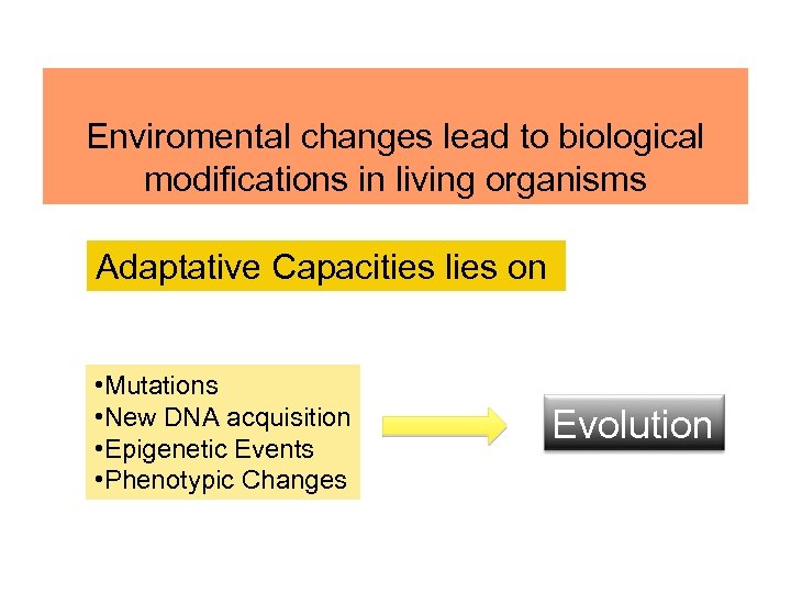 Enviromental changes lead to biological modifications in living organisms Adaptative Capacities lies on •