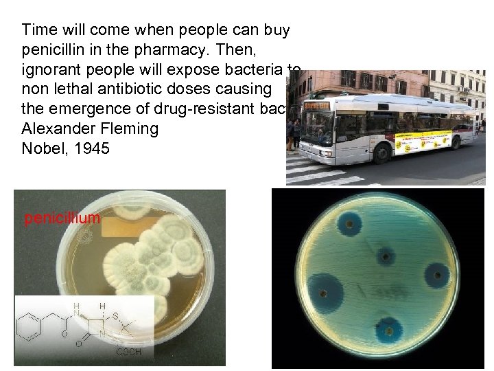 Time will come when people can buy penicillin in the pharmacy. Then, ignorant people