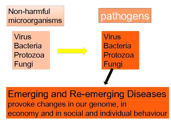 Non-harmful microorganisms Virus Bacteria Protozoa Fungi pathogens Virus Bacteria Protozoa Fungi Emerging and Re-emerging