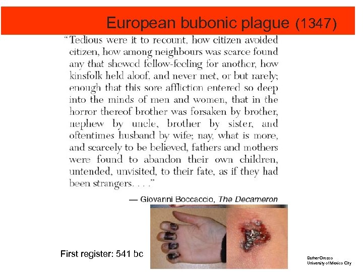  European bubonic plague (1347) First register: 541 bc Esther Orozco University of Mexico