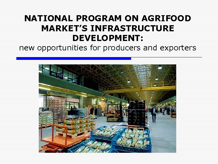 NATIONAL PROGRAM ON AGRIFOOD MARKET’S INFRASTRUCTURE DEVELOPMENT: new opportunities for producers and exporters 