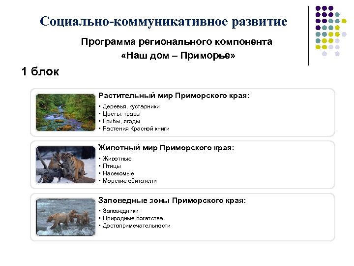Социально-коммуникативное развитие Программа регионального компонента «Наш дом – Приморье» 1 блок Растительный мир Приморского