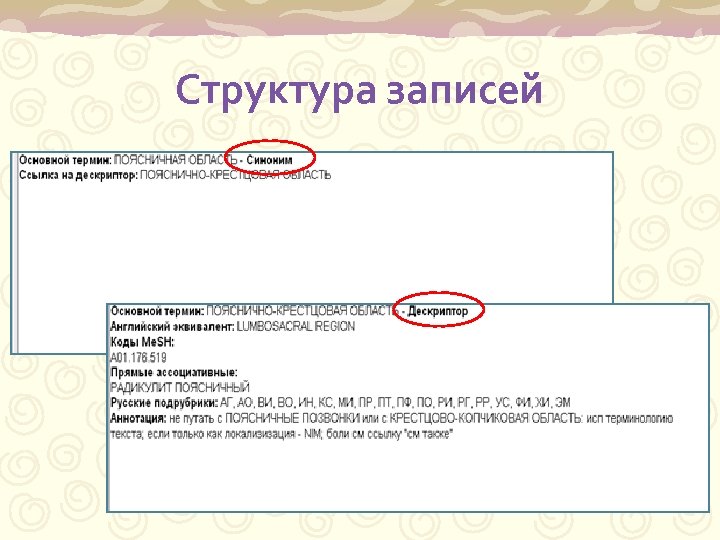 Структура записей 