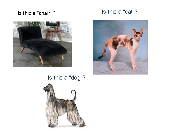 Is this a “chair”? Is this a “dog”? Is this a “cat”? 