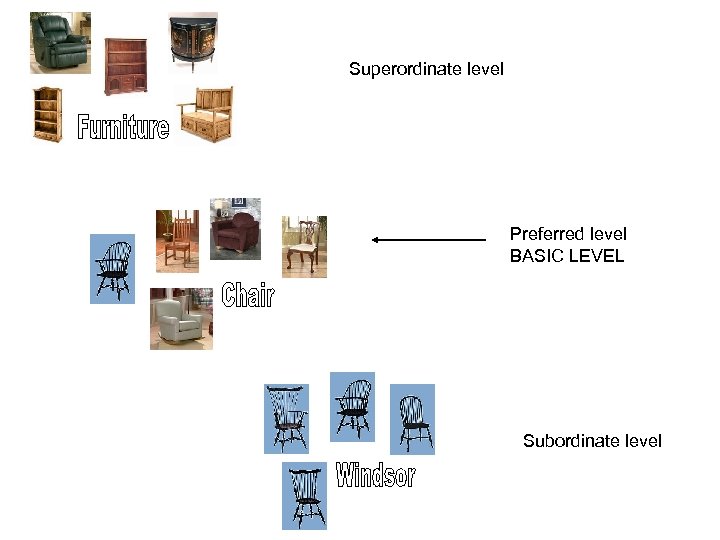 Superordinate level Superordinate Preferred level BASICBasic LEVEL Subordinate level Subordinate 