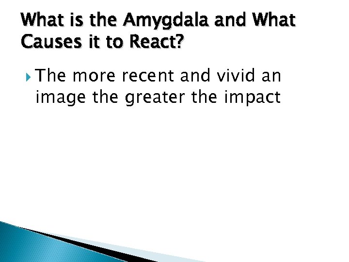 What is the Amygdala and What Causes it to React? The more recent and