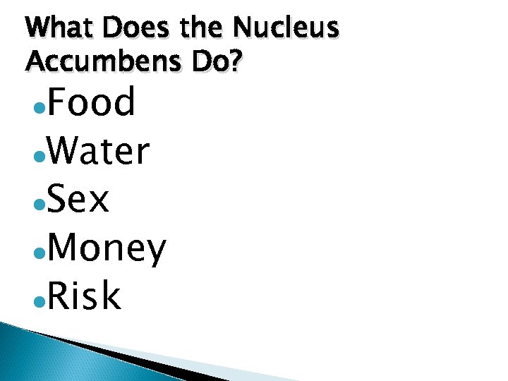 What Does the Nucleus Accumbens Do? ●Food ●Water ●Sex ●Money ●Risk 