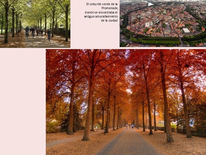 El cinturón verde de la Promenade, donde se encontraba el antiguo amurallamiento de la