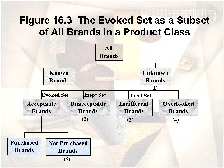 Figure 16. 3 The Evoked Set as a Subset of All Brands in a