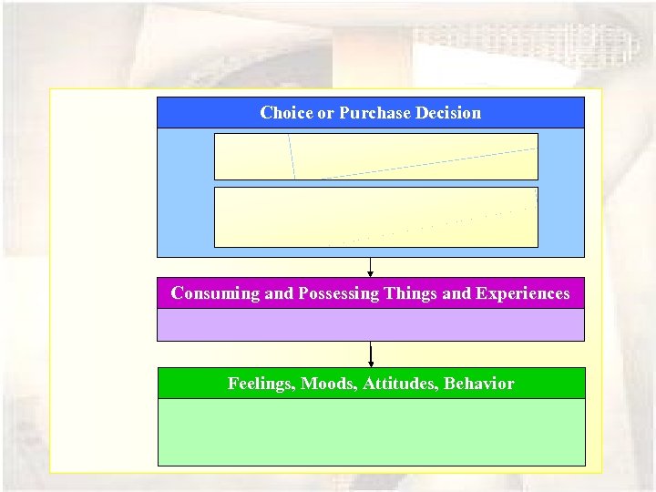 Choice or Purchase Decision Consuming and Possessing Things and Experiences Feelings, Moods, Attitudes, Behavior