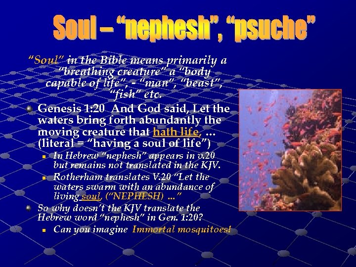 “Soul” in the Bible means primarily a “breathing creature” a “body capable of life”,