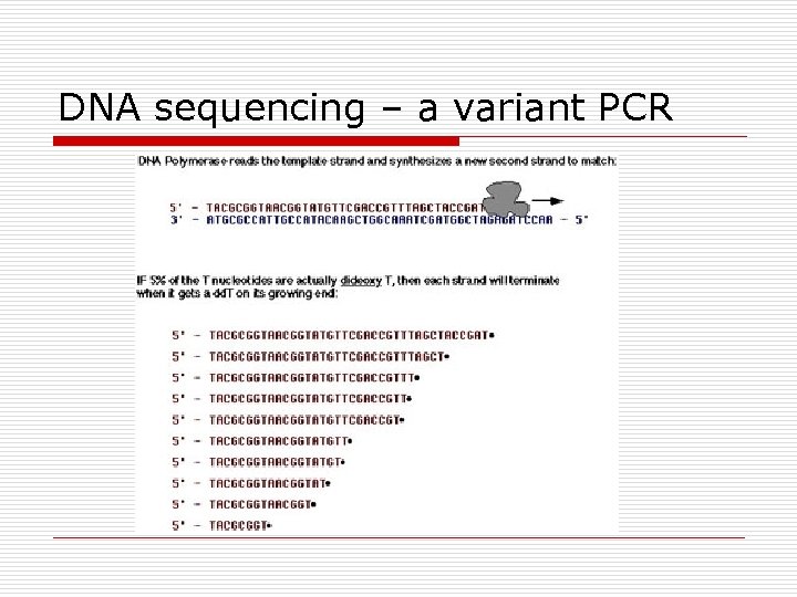 DNA sequencing – a variant PCR 