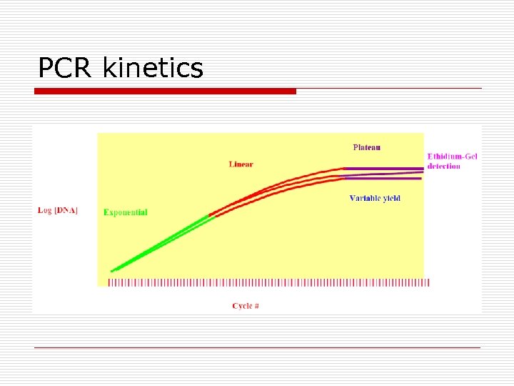 PCR kinetics 