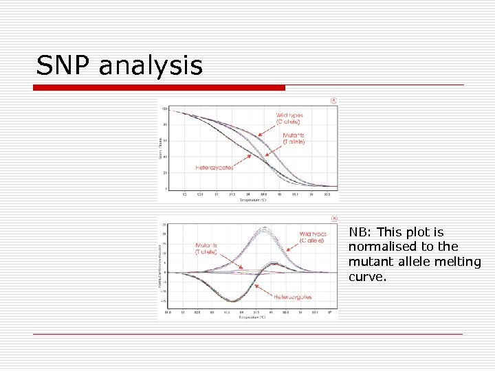SNP analysis NB: This plot is normalised to the mutant allele melting curve. 