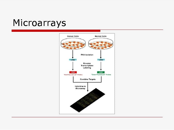 Microarrays 