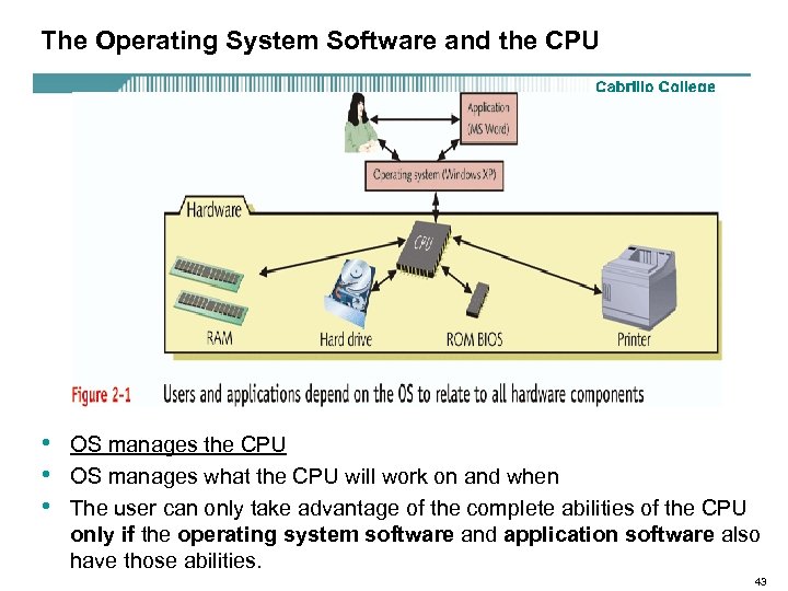 The Operating System Software and the CPU • • • OS manages the CPU