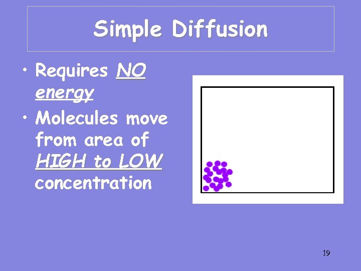 Simple Diffusion • Requires NO energy • Molecules move from area of HIGH to