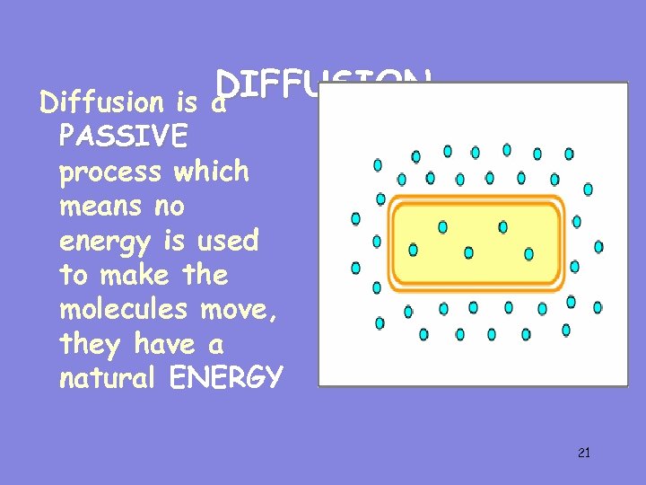 DIFFUSION a Diffusion is PASSIVE process which means no energy is used to make