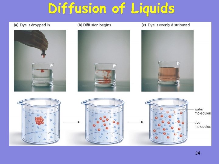 Diffusion of Liquids 24 