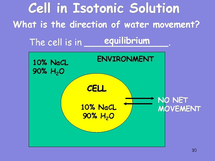Cell in Isotonic Solution What is the direction of water movement? equilibrium The cell