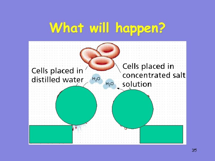 What will happen? 35 