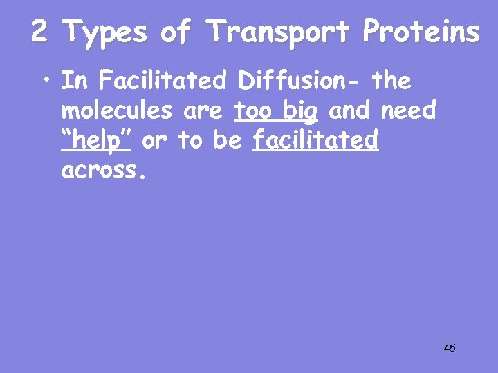 2 Types of Transport Proteins • In Facilitated Diffusion- the molecules are too big