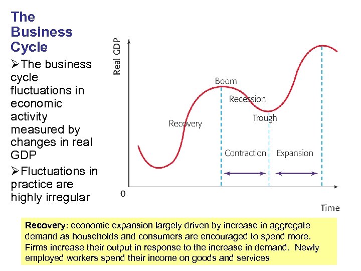 The Business Cycle ØThe business cycle fluctuations in economic activity measured by changes in