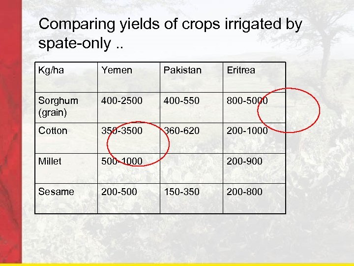 Comparing yields of crops irrigated by spate-only. . Kg/ha Yemen Pakistan Eritrea Sorghum (grain)