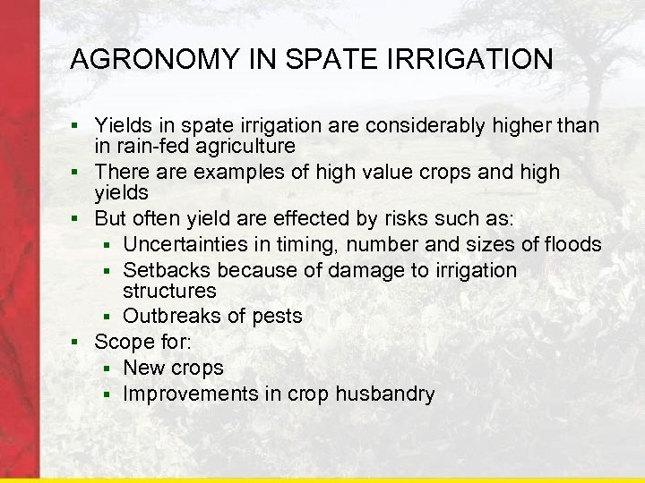 AGRONOMY IN SPATE IRRIGATION § Yields in spate irrigation are considerably higher than in