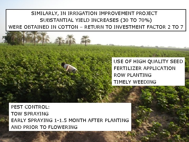 SIMILARLY, IN IRRIGATION IMPROVEMENT PROJECT SUBSTANTIAL YIELD INCREASES (30 TO 70%) WERE OBTAINED IN