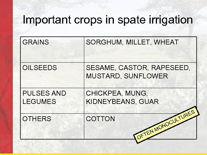 Important crops in spate irrigation GRAINS SORGHUM, MILLET, WHEAT OILSEEDS SESAME, CASTOR, RAPESEED, MUSTARD,