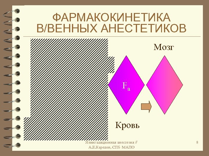 ФАРМАКОКИНЕТИКА В/ВЕННЫХ АНЕСТЕТИКОВ Легкие FI Дыхательный контур FA Мозг Fa Кровь Неингаляционная анестезия //