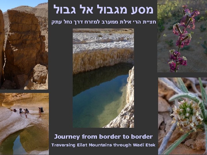  מסע מגבול אל גבול חציית הרי אילת ממערב למזרח דרך נחל עתק Journey